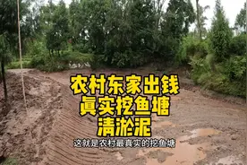 农村大爷请挖机挖鱼塘 清淤泥 最后花了一千块觉得很划算视频封面