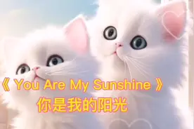 适合孩子学唱的英文歌曲《 You Are My Sunshine 》你是我的阳光视频封面