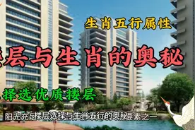 揭秘楼层与生肖五行属性的奥秘，助您择选优质楼层！视频封面
