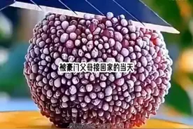 虐