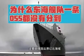 为什么东海舰队1条055也没有分到视频封面