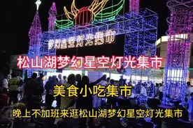 松山湖梦幻星空灯光集市，松山湖美食节，松山湖美食小吃集市视频封面