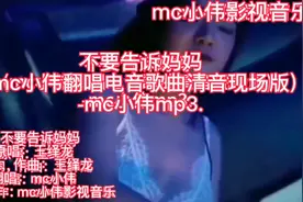 不要告诉妈妈(mc小伟翻唱电音歌曲清音现场版)-mc小伟mp3.视频封面