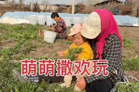 东北的春天满眼绿色，爸妈栽毛葱种小菜，萌萌在黑土地里撒欢玩视频封面