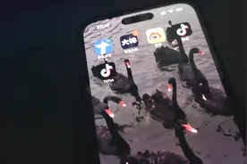 TikTok黑屏，无网络，无法登录怎么办？看完这个视频，告诉你