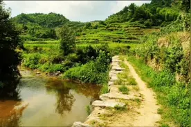 民间故事  小白兔报恩视频封面