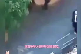 呼吁澄清事实，避免谣言满天飞——来自湖北商贸学院的视频封面