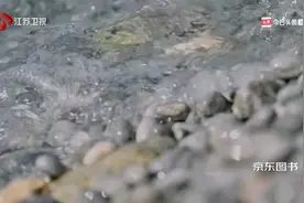 生活和艺术缺一不可！视频封面