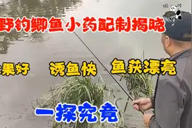 野钓鲫鱼小药配方大揭秘，一探究竟！视频封面