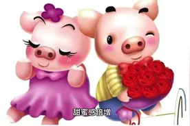 属猪人，这周要有好事发生。视频封面