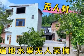 老家成了无人村，遍地水果无人采摘，楼房5000一栋都没人要！视频封面
