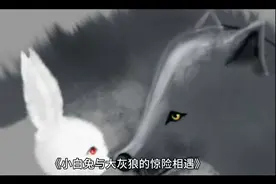 小白兔与大灰狼的惊险相遇视频封面