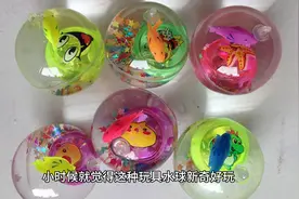 水宝宝的科普视频封面