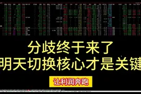 分歧终于来了，明天切换核心才是关键！DeepSeek竞赛才刚开启视频封面