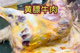 早上五点的内蒙古锡盟屠宰业热火朝天，宰出来牛肉像鸡蛋黄一样。视频封面