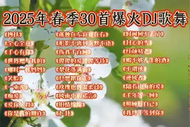 2025年春季30首爆火DJ歌舞列表，带你嗨翻整个春天！🌸🎶