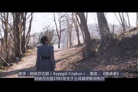 土耳其歌曲