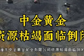 中金黄金矿业有限公司，破产与员工权益的保障视频封面