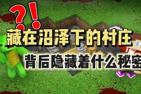 MC我的世界：藏在沼泽下面的村庄？背后隐藏着什么秘密？！视频封面
