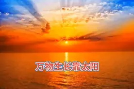 西瓜视频。我看。不能忘记过去的事。视频封面