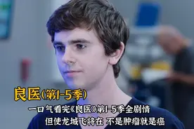 一口气看完高分美剧《良医》全！视频封面