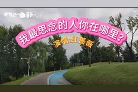 亲爱的姐姐，我最思念的人，你在哪里啊？弟弟真的好想你啊！视频封面