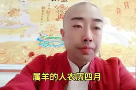 属羊的人农历四月视频封面