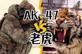 普通人拿着一把ak，能够打过一头老虎吗？视频封面
