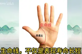 #掌纹的秘密，生命线详解