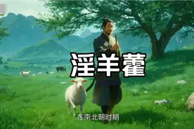 淫羊藿，zhongyilvdaifu视频封面
