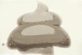 《丢大便》视频封面