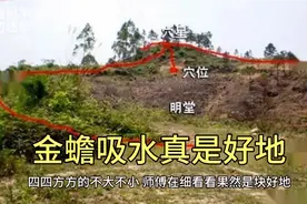 师傅看到金蟾吸水穴，挖墓的时候墓穴的水往上冒里面跳出一只蛤蟆视频封面
