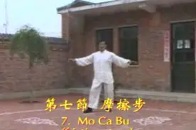 意拳技击训练第七节摩擦步（崔老师演示）视频封面