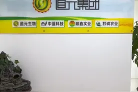 道元（中蓝科技）视频封面