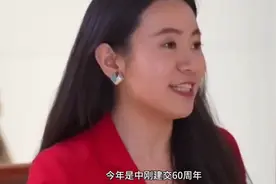 驻刚果（布）大使李岩生前采访表述中刚关系，和蔼可亲，亲和力强视频封面