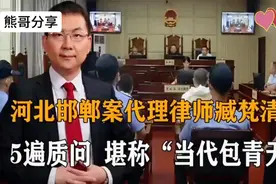 河北邯郸案代理律师臧梵清5轮质问堪称“当代包青天”视频封面