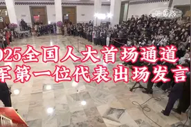 2025全国人大首场通道雷军第一位代表出场发言视频封面