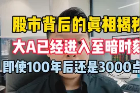 股市背后的真相揭秘：大A已经进入至暗时刻，100年后还是3000点视频封面