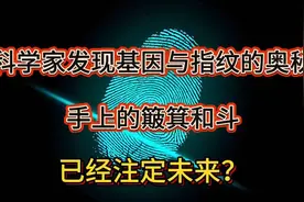 科学家发现基因与指纹的奥秘，手上的簸算和斗，已经注定未来？视频封面