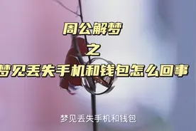 梦见丢失手机和钱包是怎么回事视频封面