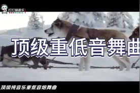 顶级纯音乐重低音炮舞曲《重低音纯嗨舞曲DJ版》好听又烧脑视频封面