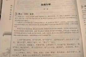 良桐为琴:不注重真才实学，只为沽名钓誉，社会的悲哀视频封面