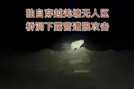 单车穿越羌塘无人区，露营在桥洞，半夜来了一头狼，魂都吓飞了视频封面