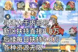 寻道大千内部号，无限资源，无限仙桃视频封面
