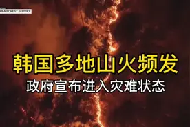 韩国山火频发，政府宣布多地进入灾难状态视频封面