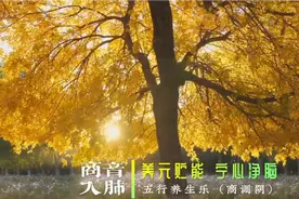 『五音疗疾』商音入肺，养元贮能，宁心净脑，提高免疫力加长版视频封面