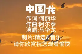 马华龙《中国龙》乾坤一动中国龙扶摇直上万里驾长虹视频封面