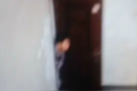 人才哥努力中要吃汉堡呢，捣蛋鬼会抢他的呀视频封面