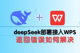 deepseek大模型部署接入WPS，如何解决返回错误！视频封面