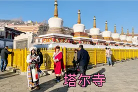 青海塔尔寺，藏传佛教格鲁派六大寺院之一，春节期间免费参观视频封面